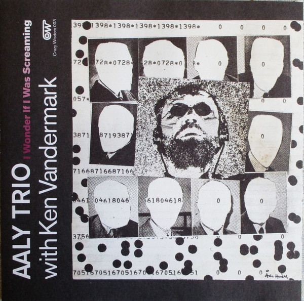 AALY TRIO - AALY Trio With Ken Vandermark : I Wonder If I Was Screaming cover 