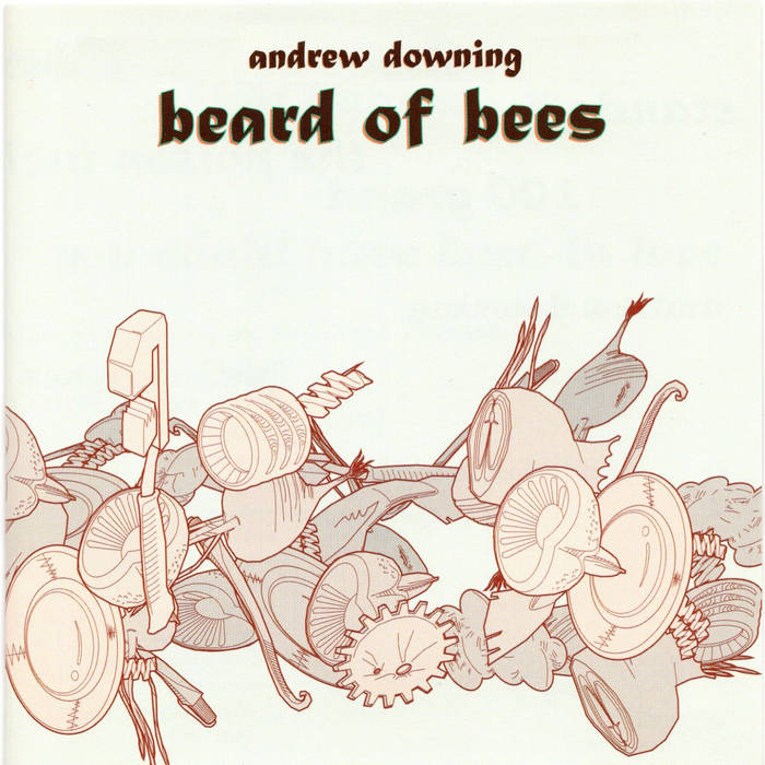 ANDREW DOWNING - Beard of Bees cover 