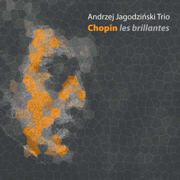 ANDRZEJ JAGODZIŃSKI - Andrzej Jagodziński Trio : Chopin Les Brillantes cover 