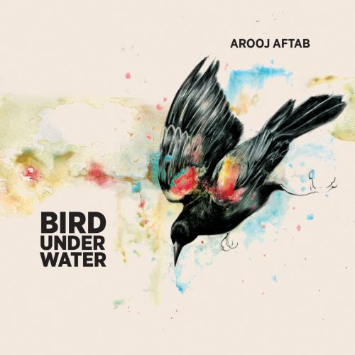 AROOJ AFTAB - Bird Under Water cover 