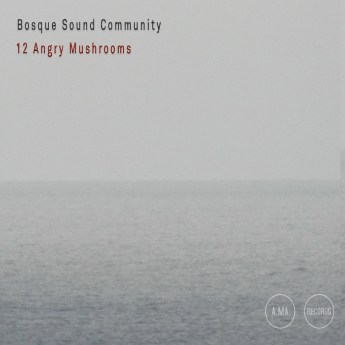 BOSQUE / BOSQUE SOUND COMMUNITY - 12 Angry Mushrooms cover 