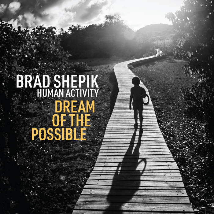 BRAD SHEPIK - Human Activity : Dream of the Possible cover 