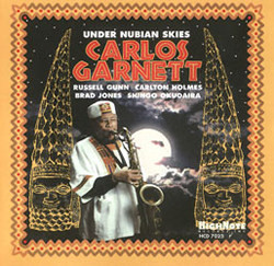 CARLOS GARNETT - Under Nubian Skies cover 