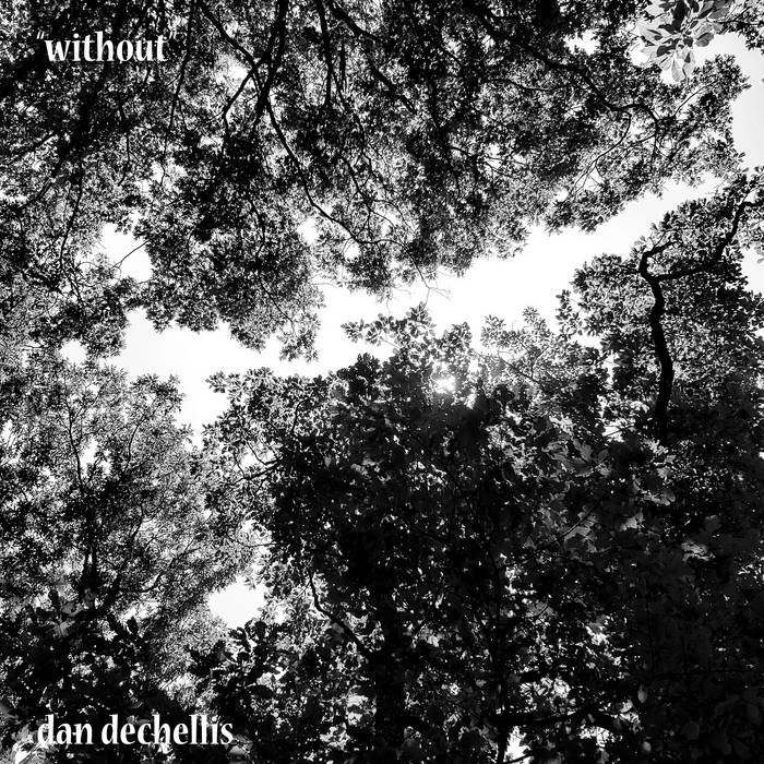 DAN DECHELLIS - Without cover 