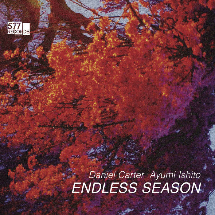 DANIEL CARTER - Daniel Carter - Ayumi Ishito : Endless Season cover 