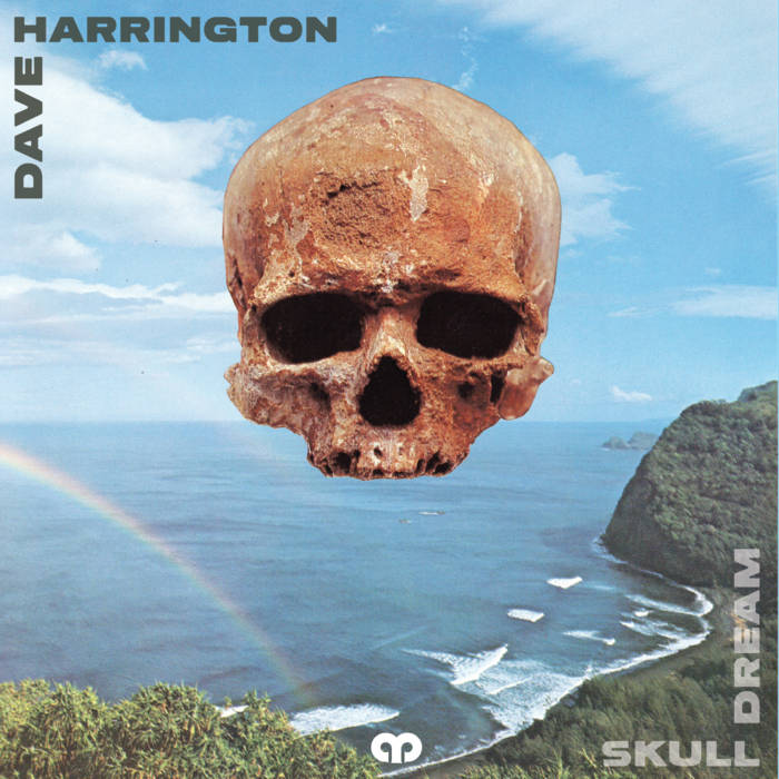 DAVE HARRINGTON - Skull Dream cover 