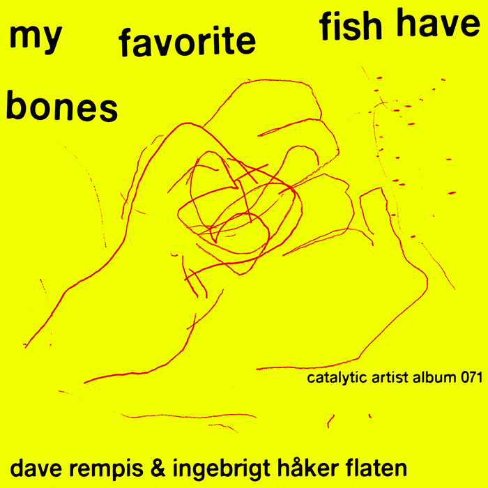 DAVE REMPIS - Dave Rempis & Ingebrigt Håker Flaten : My Favorite Fish Have Bones cover 