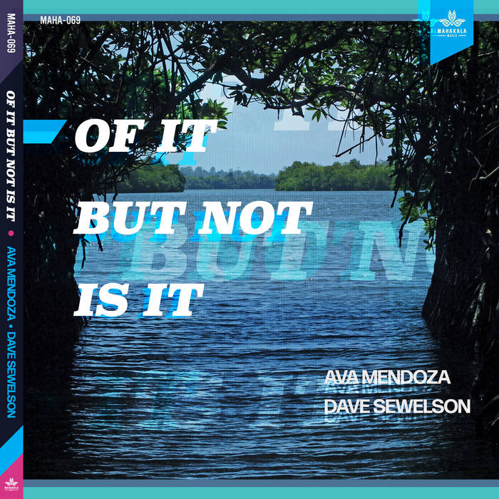 DAVE SEWELSON - Ava Mendoza - Dave Sewelson : Of It But Not Is It cover 