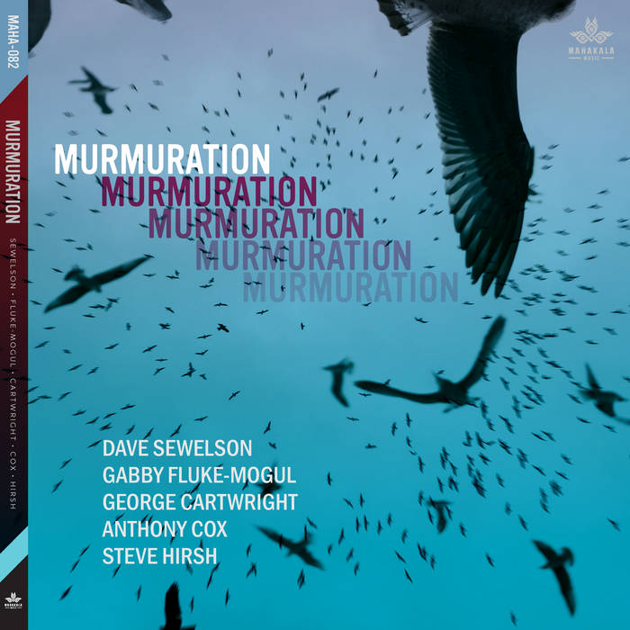 DAVE SEWELSON - Sewelson, Cartwright, Fluke-mogul, Cox, Hirsh : Murmuration cover 