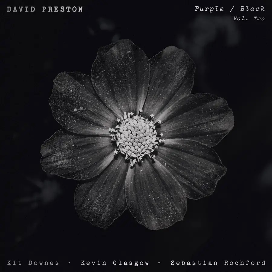 DAVID PRESTON - Volume 2 - Purple/Black cover 