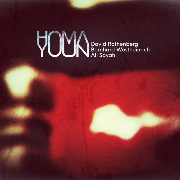 DAVID ROTHENBERG - David Rothenberg, Bernhard Wöstheinrich, Ali Sayah : Homayoun cover 