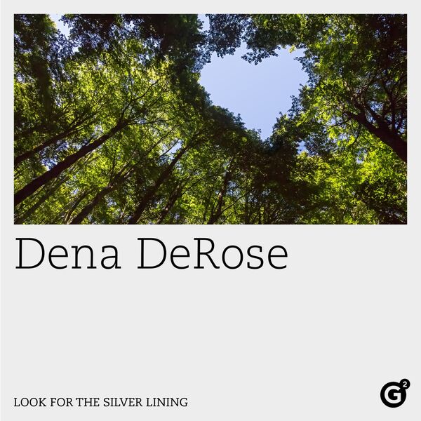 DENA DEROSE - Look for the Silver Lining cover 