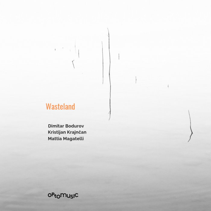 DIMITAR BODUROV - Dimitar Bodurov / Mattia Magatelli / Kristijan Krajnčan : Wasteland cover 