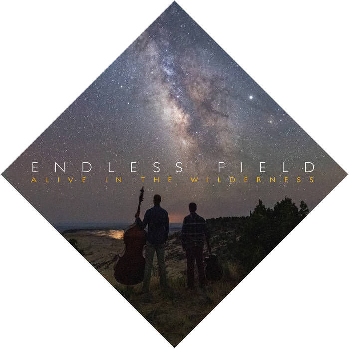 ENDLESS FIELD - Alive in the Wilderness cover 