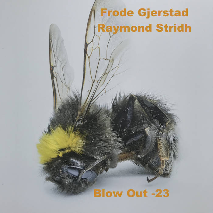 FRODE GJERSTAD - Frode Gjerstad, Raymond Stridh : Blow Out -23 cover 