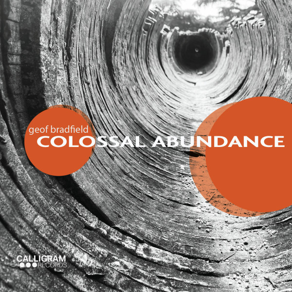 GEOF BRADFIELD - Colossal Abundance cover 