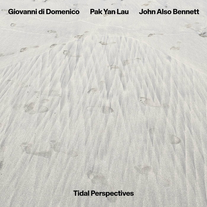 GIOVANNI DI DOMENICO - Giovanni Di Domenico, Pak Yan Lau, John Also Bennett : Tidal Perspectives cover 