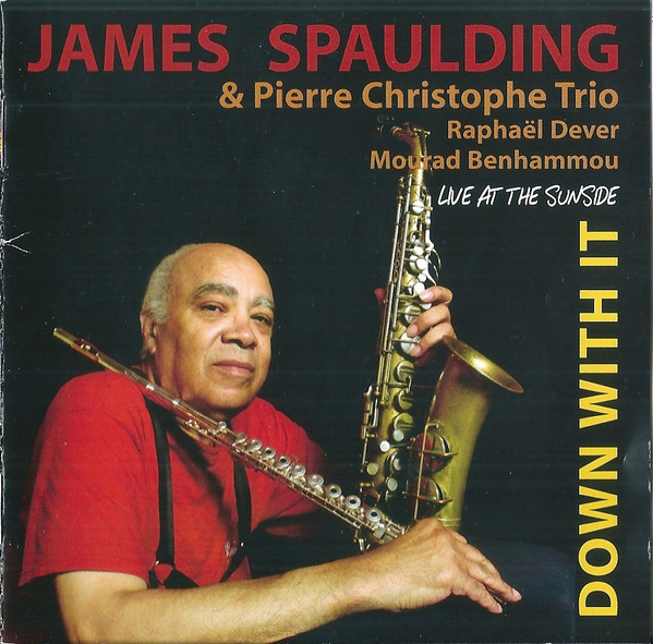 JAMES SPAULDING - James Spaulding & Pierre Christophe Trio : Down With It cover 