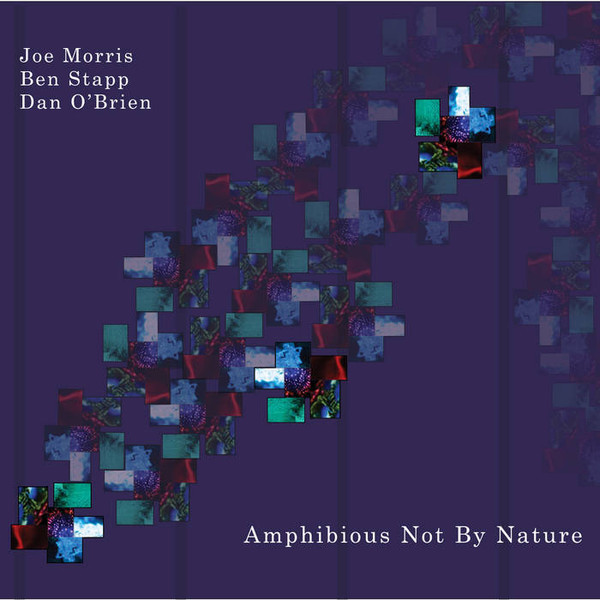 JOE MORRIS - Joe Morris, Ben Stapp, Dan O'Brien : Amphibious Not By Nature cover 