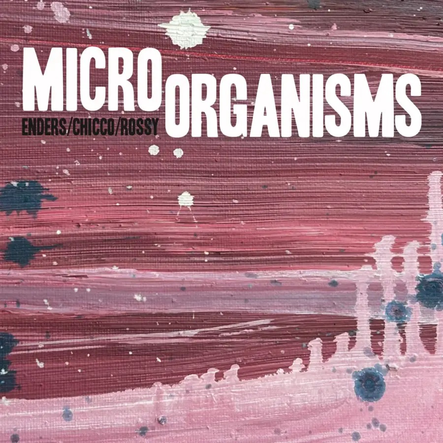 JOHANNES ENDERS - Johannes Enders, Renato Chicco & Jorge Rossy : Micro Organisms Live In Graz cover 