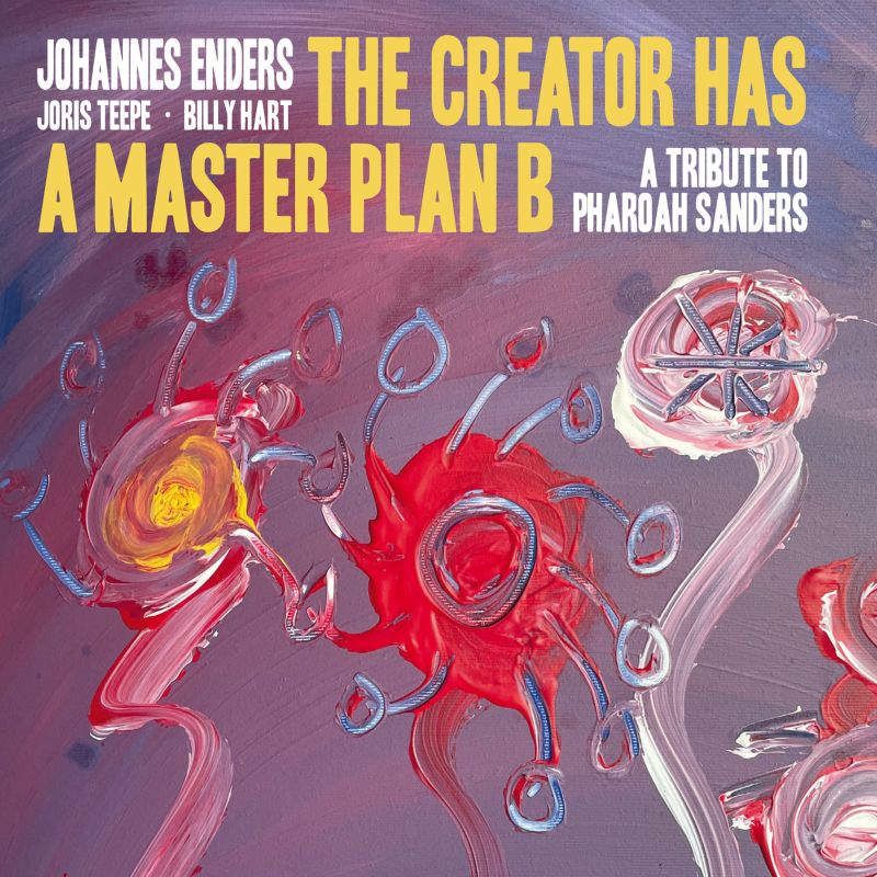 JOHANNES ENDERS - the creator has a master plan b cover 