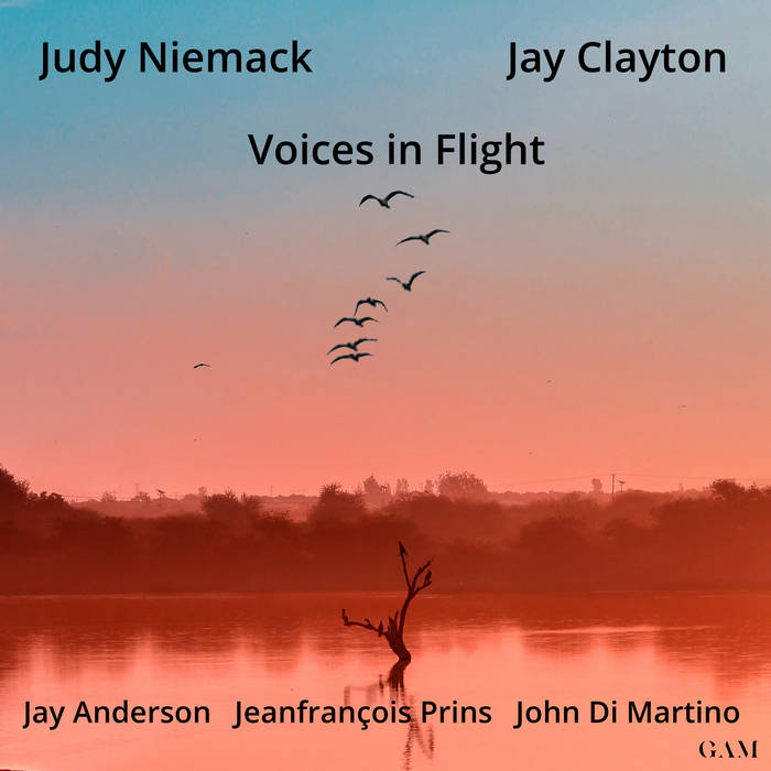 JUDY NIEMACK - Judy Niemack - Jay Clayton : Voices in Flight cover 