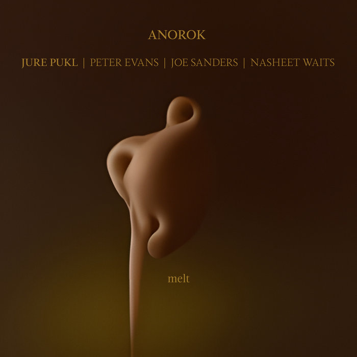 JURE PUKL - Anorok (Jure Pukl, Peter Evans, Joe Sanders, Nasheet Waits) : Melt cover 