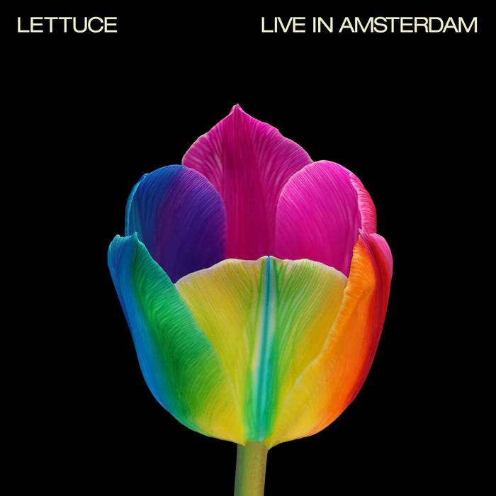 LETTUCE - Live in Amsterdam cover 