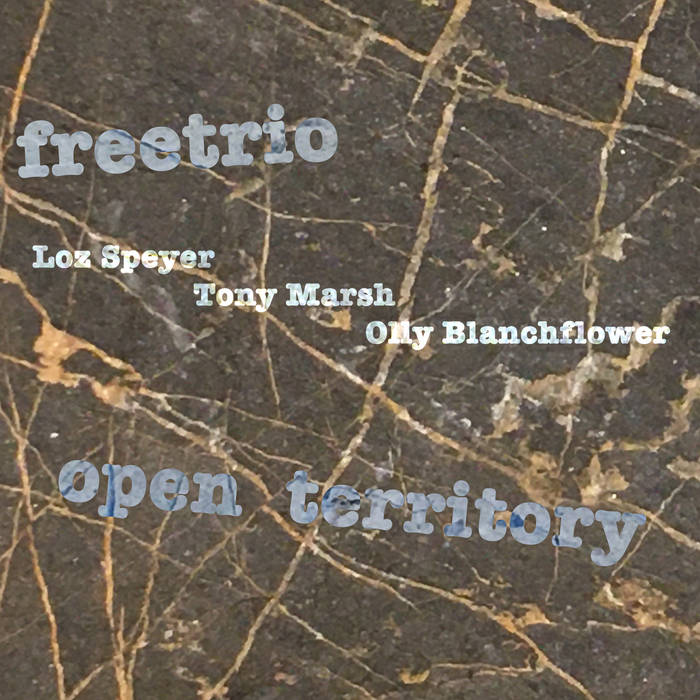 LOZ SPEYER - FREETRIO(Loz Speyer, Olly Blanchflower, Tony Marsh) : Open Territory cover 