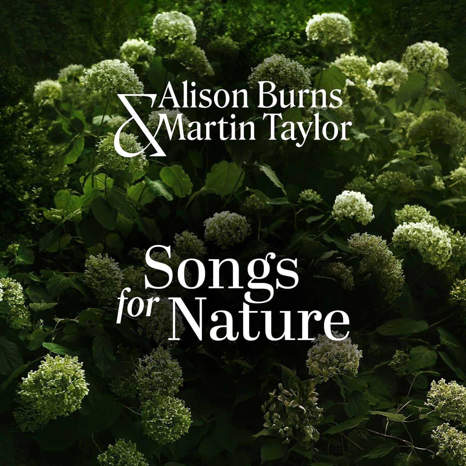 MARTIN TAYLOR - Alison Burns & Martin Taylor : Songs For Nature cover 