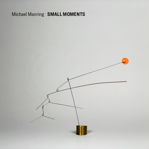 MICHAEL MANRING - Small Moments cover 