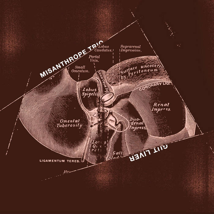 MISANTHROPE TRIO (LUIS LOPES - GONÇALO ALMEIDA - PHILIPP ERNSTING) - Gut Liver cover 