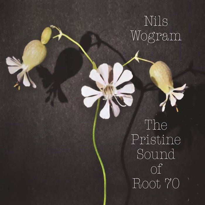 NILS WOGRAM - The pristine sound of Root 70 cover 