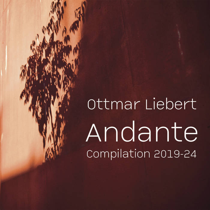 OTTMAR LIEBERT - Andante cover 