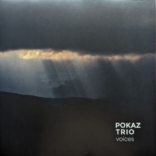 POKAZ TRIO - Voices cover 