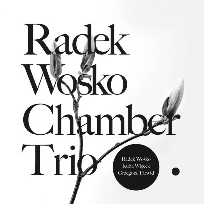 RADEK WO&amp;#346;KO - Radek Wo&amp;#8203;&amp;#347;&amp;#8203;ko Chamber Trio cover 