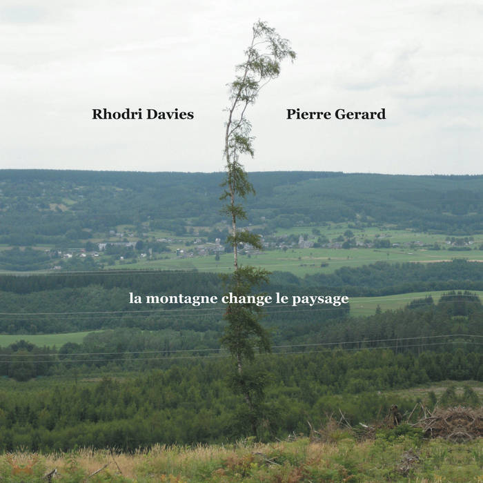 RHODRI DAVIES - Rhodri Davies / Pierre Gerard : la montagne change le paysage cover 