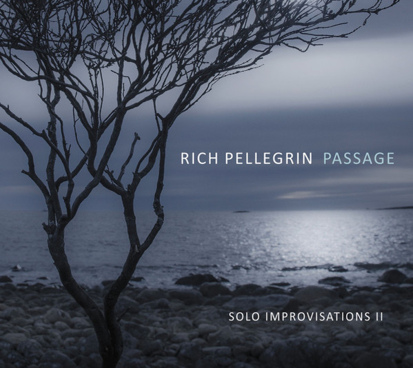 RICH PELLEGRIN - Passage : Solo Improvisations II cover 