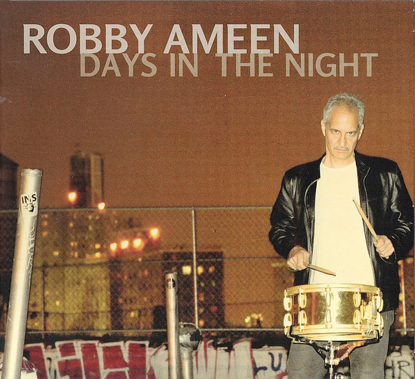 ROBBY AMEEN - Days in the Night cover 