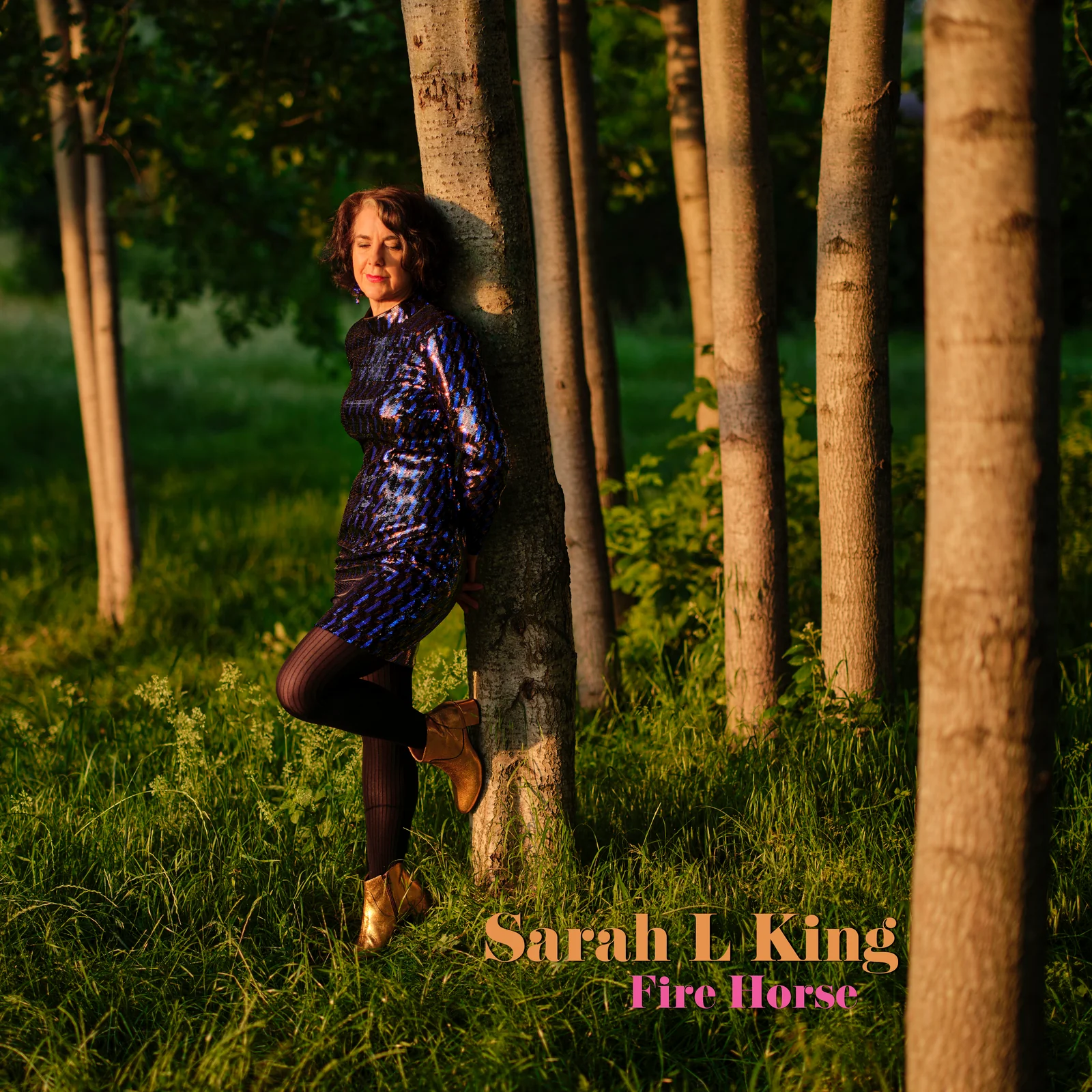 SARAH L KING - Fire Horse cover 