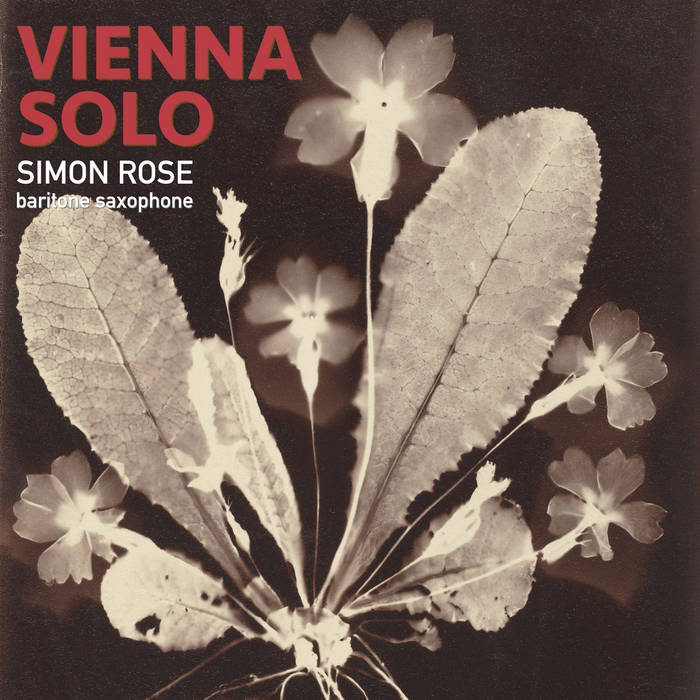 SIMON ROSE - Vienna Solo cover 