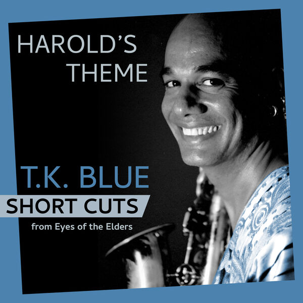 T K BLUE (TALIB KIBWE) - Harold's Theme (Short Cut - breakdown) cover 