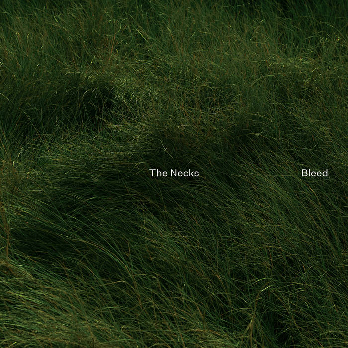 THE NECKS - Bleed cover 