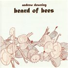 ANDREW DOWNING Beard of Bees album cover