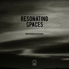 CAMILA NEBBIA Camila Nebbia & David Bennet : Resonating Spaces album cover