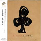 CASIOPEA Material album cover