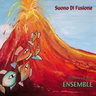 FRANCESCO PINETTI Francesco Pinetti Ensemble : Suono Di Fusione album cover