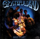 GRATEFUL DEAD Built To Last album cover