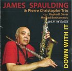 JAMES SPAULDING James Spaulding & Pierre Christophe Trio : Down With It album cover