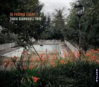 TANIA GIANNOULI Tania Giannouli Trio : In Fading Light album cover